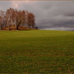 Die Insel (2006-2008)