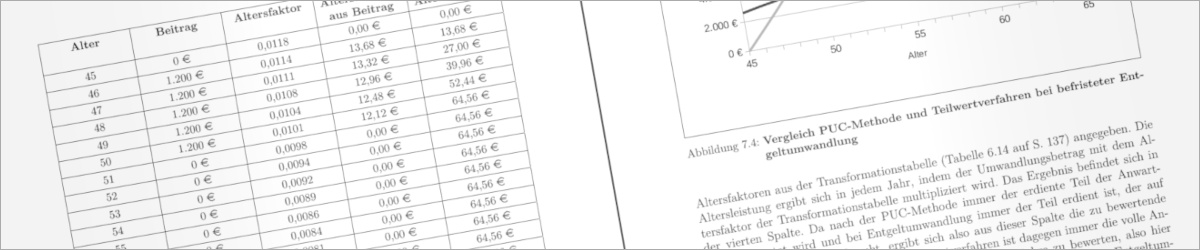 Screenshot aus dem Buch "Pensionsrückstellungen"